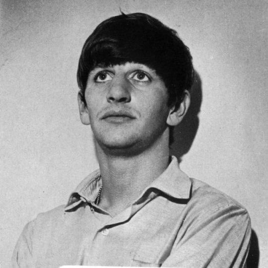 Katze ¿; ☆ tweet media