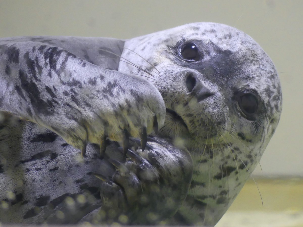 た き 🍵 tweet media