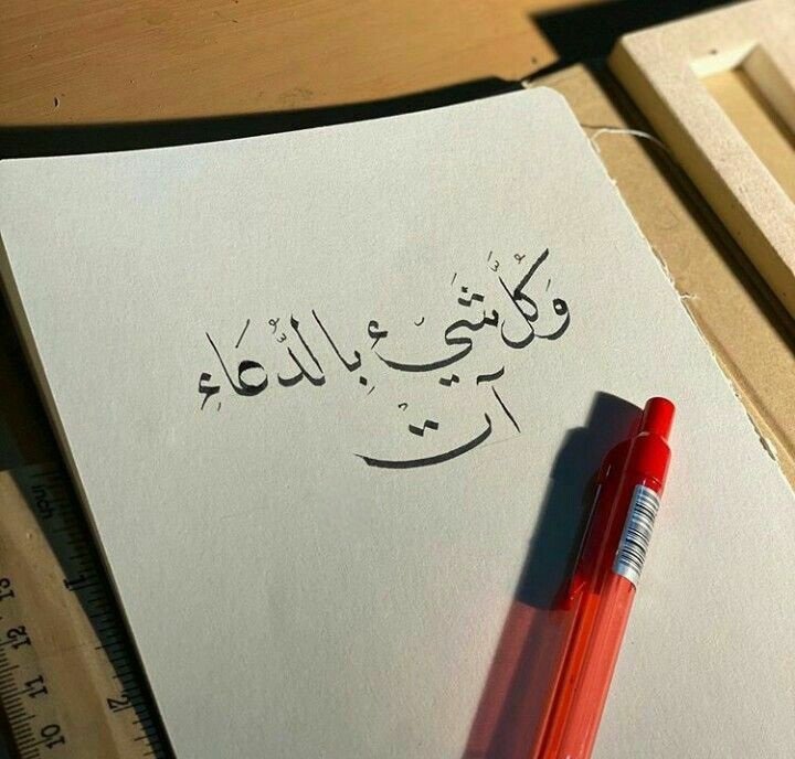 عبدالرحمن المالكي tweet media