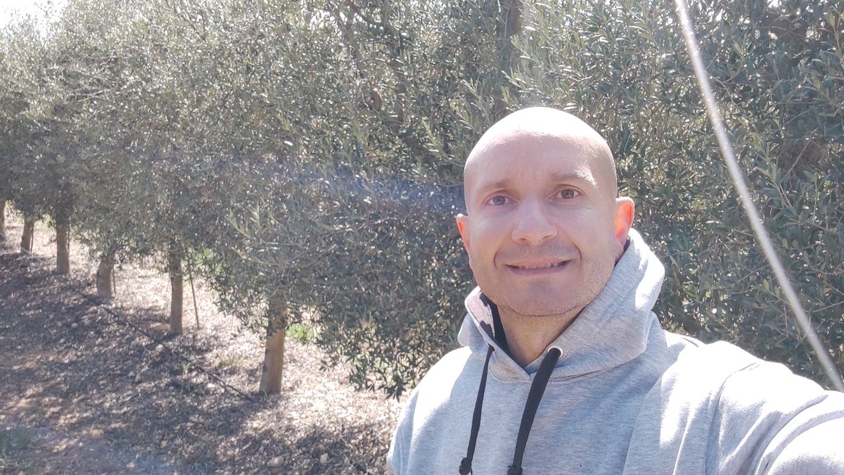 zornoza_raul's tweet image. Assessing the effect of @seipasa #bioherbicides to control #weeds in olive grove rows as a substitute for synthetic herbicides as an agroecology strategy assessed in @agrosus #HE project. @etsiaupct @OPECT_UPCT @UPCToficial