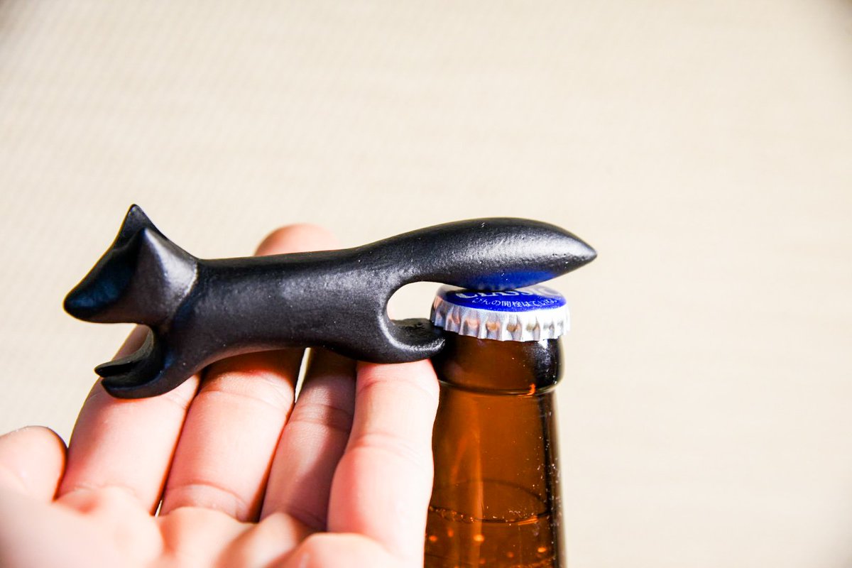 しゃとる🦃🦊 tweet media