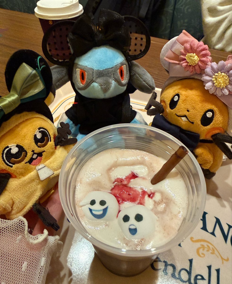 チョッちゃん(オカメの方が素顔) tweet media