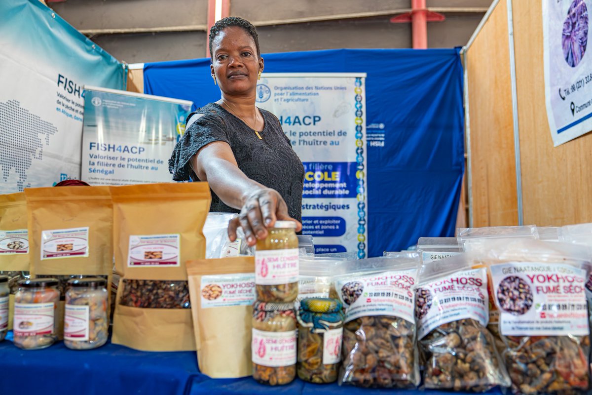 FAO au Sénégal tweet media