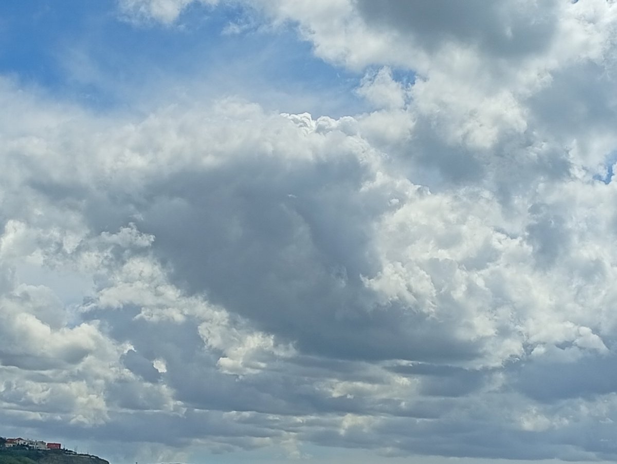 sedrul08's tweet image. Under the same sky, my📸

         #HappyMonday