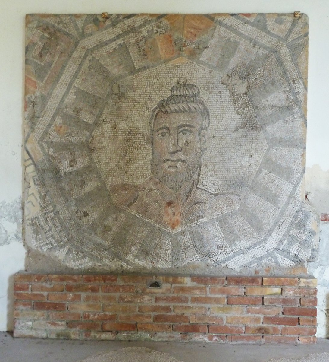 Dr Pat Witts tweet media