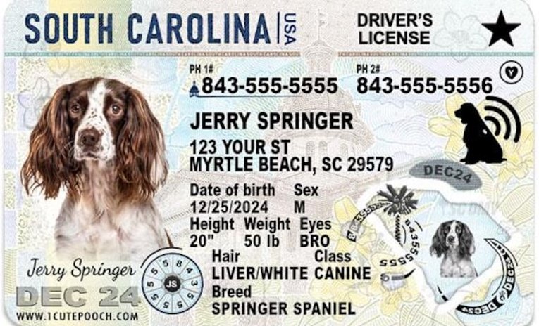 حيدر tweet media