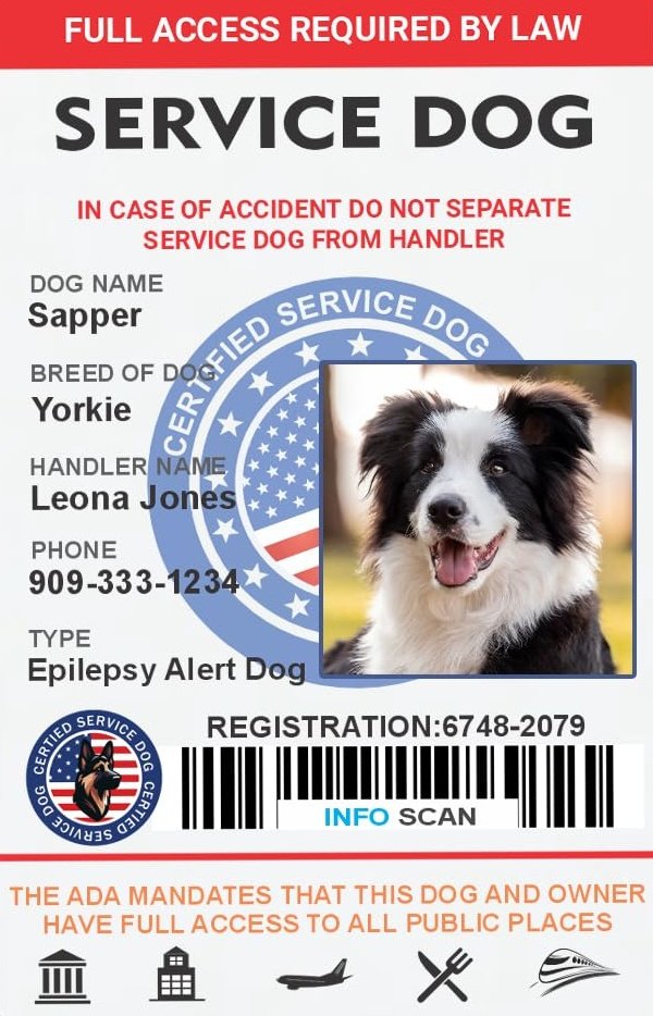 حيدر tweet media