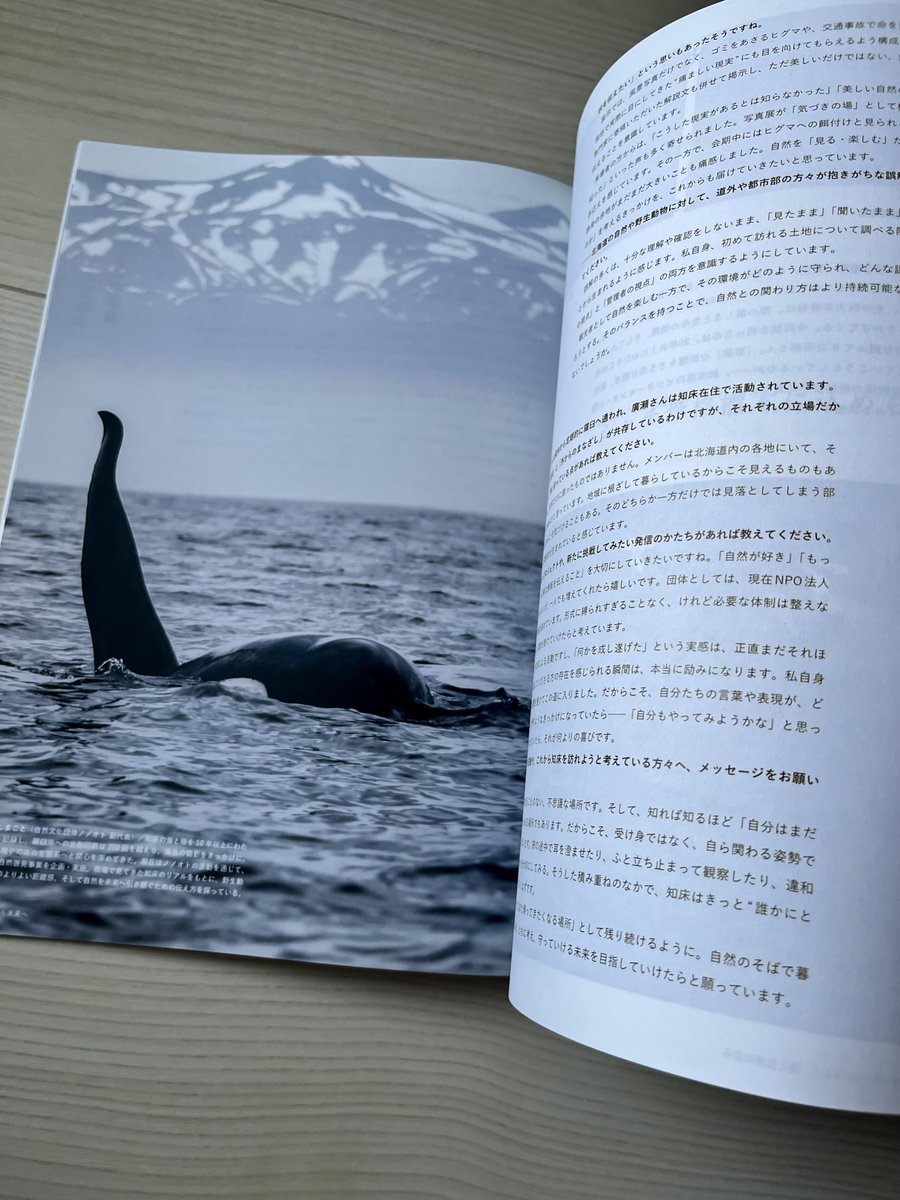 お知らせ〉幼少の頃シャチに魅了され、構想4年、制作1年の歳月を経て
