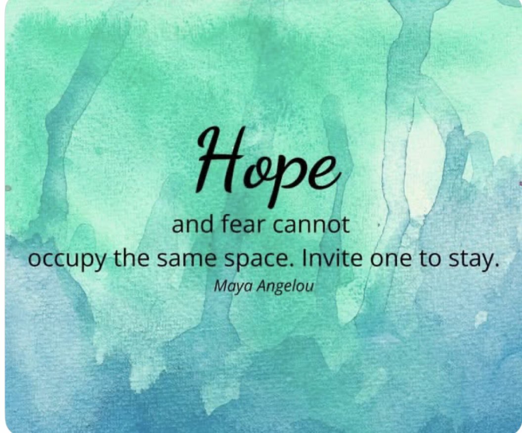 Steve Jacobson tweet media