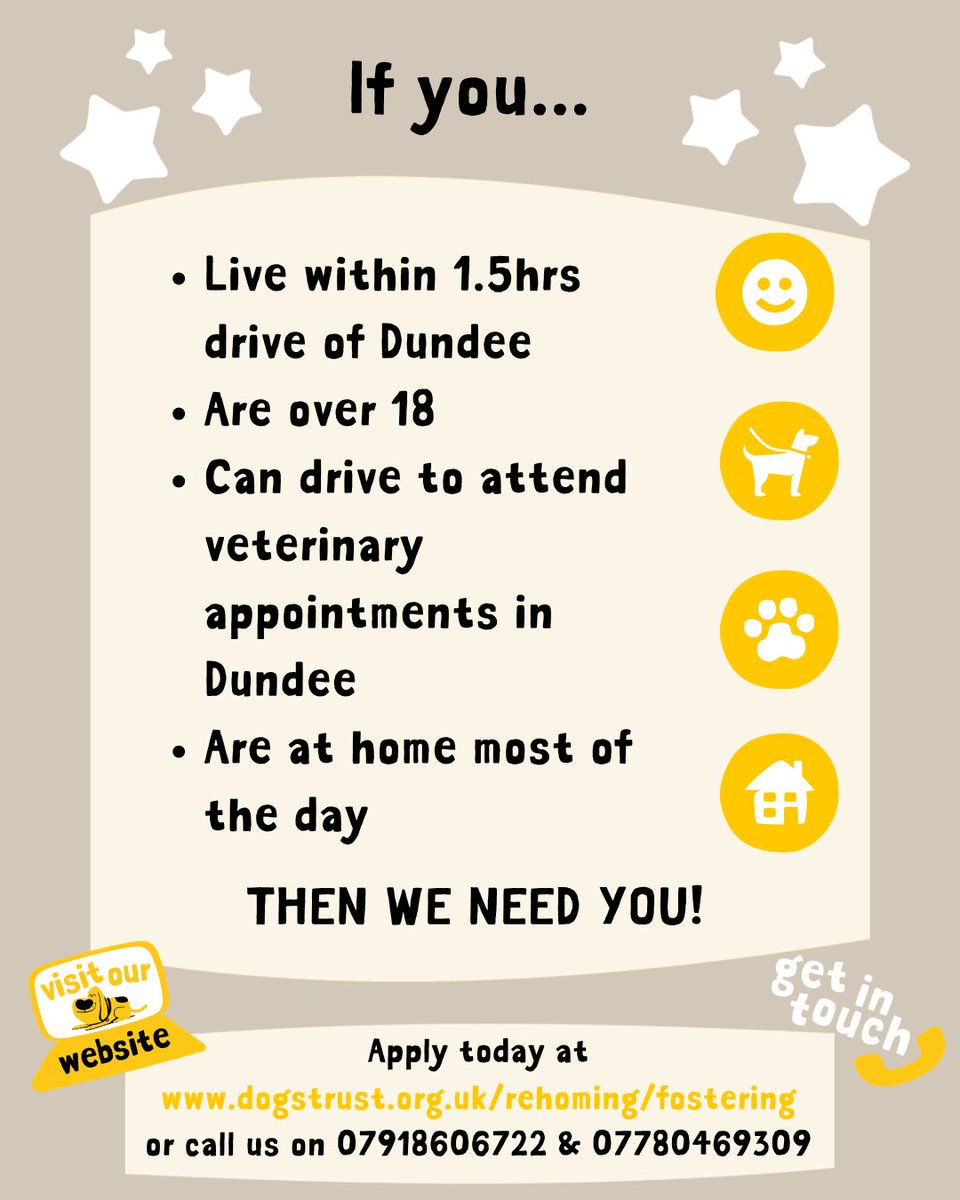 Dogs Trust Dundee tweet media