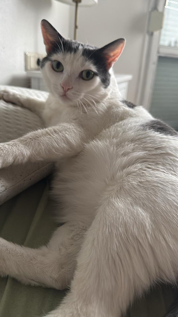 anki 🪩🌻 tweet media