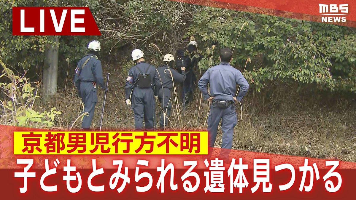 オキゾウ tweet media