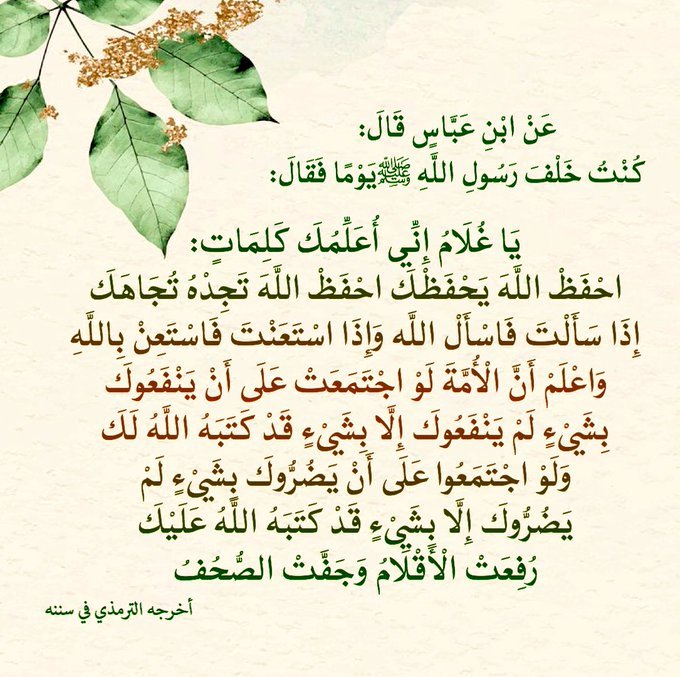 طارق هاشم الرفاعي 🇰🇼 ✌️ 🇵🇸 타렉 알리바이 tweet media