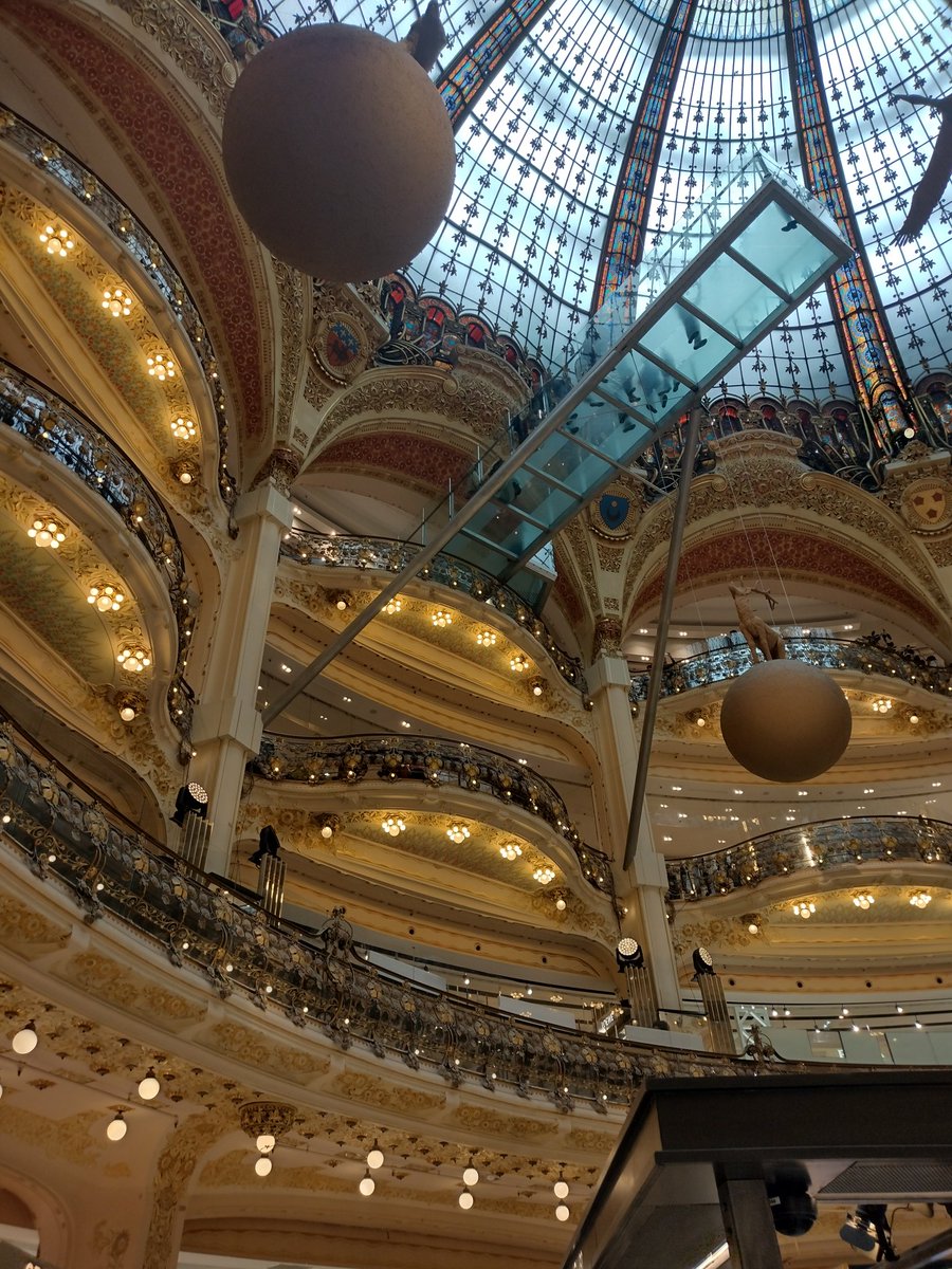 DarkLady 👣🦄🐾🐎🍀 tweet media