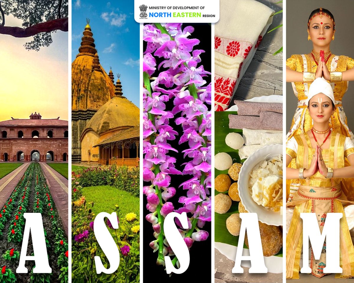 MDoNER_India's tweet image. Culture, colour, and timeless traditions—Assam beautifully reflects the vibrant spirit of Northeast India. From sacred heritage and blooming orchids to rich handloom, cuisine, and classical dance, Assam celebrates a legacy that continues to inspire.
#MDoNERIndia #Assam