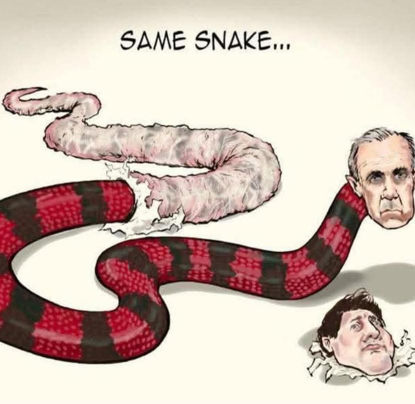 You Elbozos really crack me up.First you drank the Idiot Boy Kool-Aid by believing that Canada is a post-national state.And now you slop down the glass from Marx Carney's jug about Canadian nationalism. You switch your values on a dime. You really are a bunch of suckers and sheep