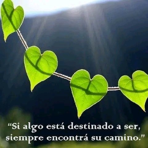 "Somos mortales hasta el primer beso y la segunda copa de vino" Eduardo Galeano.
Bendecido día lunes camaradas, patriotas 🙏🌞☕ Feliz inicio de semana 🙂 Lo que verdaderamente es,no puede dejar de ser jamás 🙏✨ Venezuela siempre bendecida y vencedora🇻🇪💛💙❤️ Amor y Paz ☮️💜👉✌️