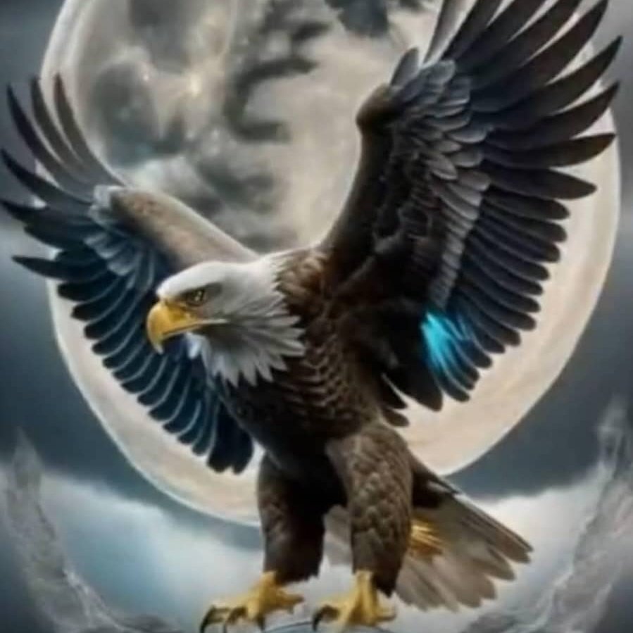 ZIGUI MAMADOU tweet media