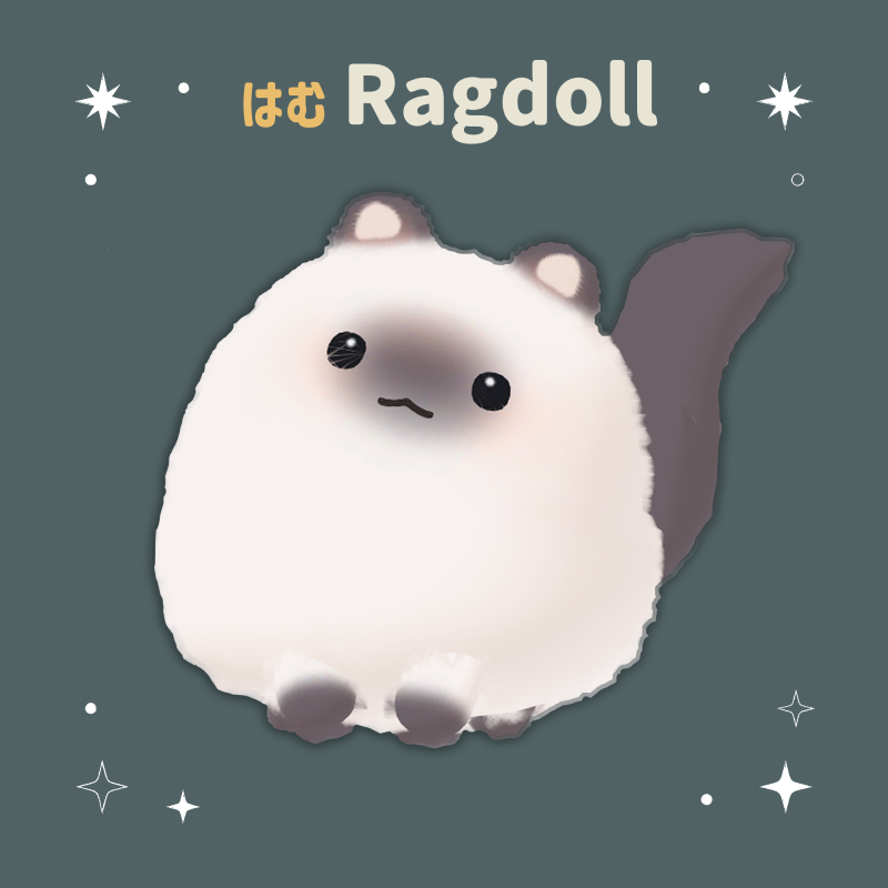 JON-じょん tweet media