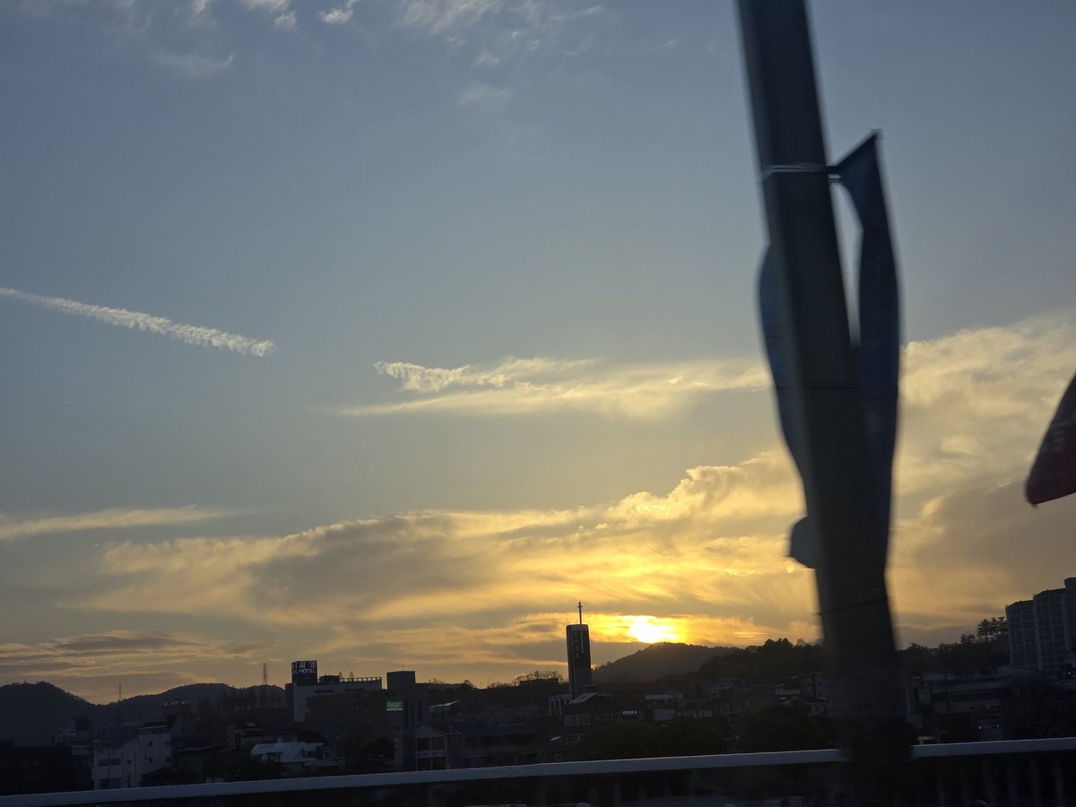 마이스파이디🕸 tweet media