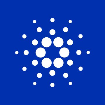 🪏Mintern tweet media