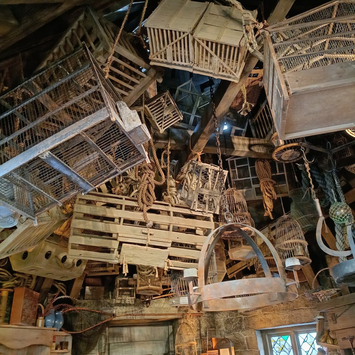 PP　のらポトフ tweet media