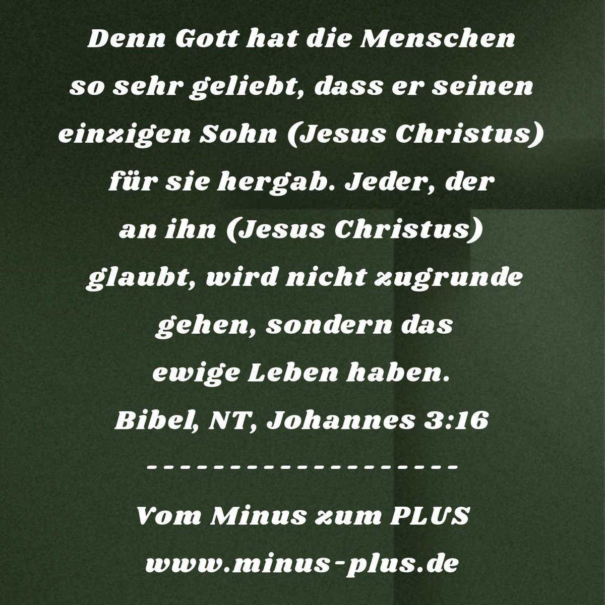 ÖKO-ARCHITEKTENHAUS tweet media