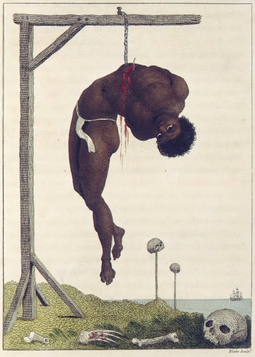 Zoom Afrika tweet media