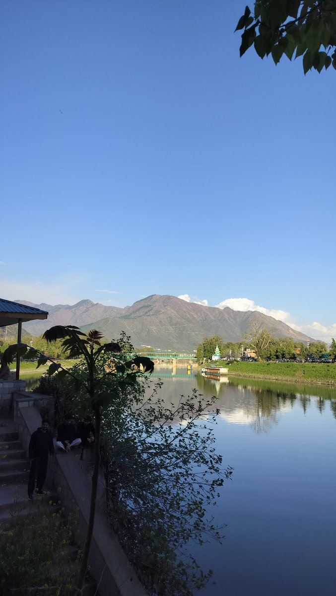 Serotonin tweet media