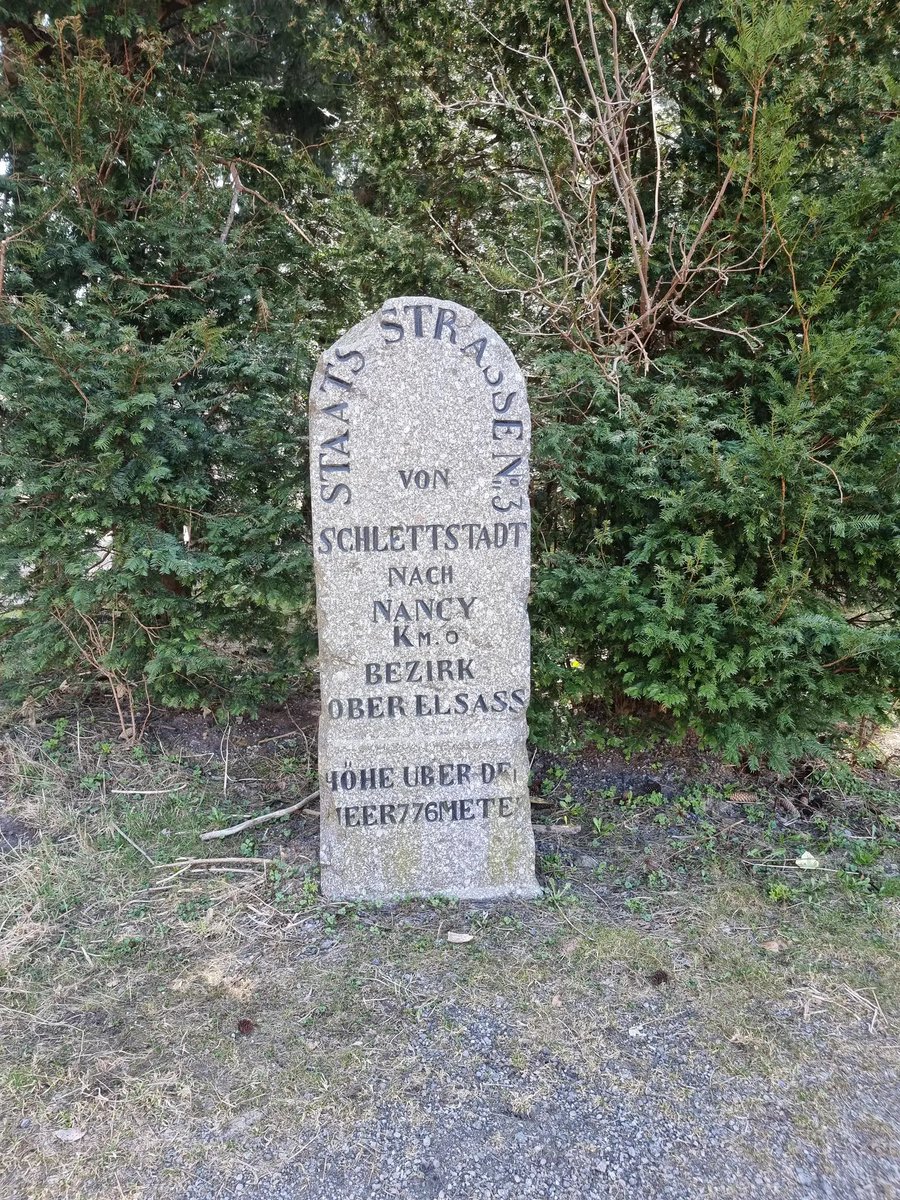 Pillandia's tweet image. Schöner historischer Grenzstein an der alten Grenze zwischen Deutschland und Frankreich (1871-1918) am Col de Saint Marie, heute. 
pillandia.blogspot.com/p/avaleht-iniz… 

#Germany #France #Border #Elsass #Alsace