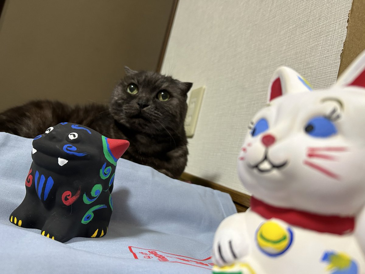 くろねこノアティー tweet media