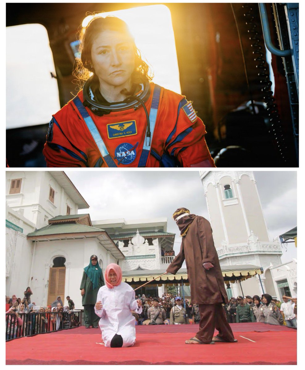 Mor Edge Insight tweet media