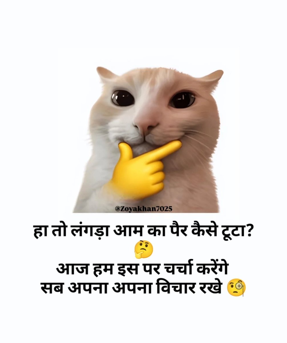 Zoya Khan tweet media