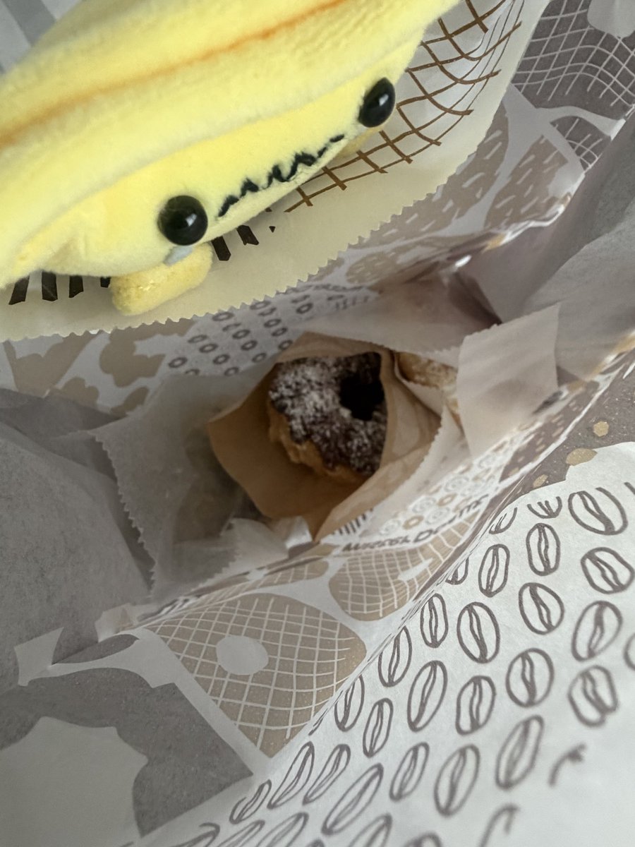 mieeのせかい🗺️ tweet media