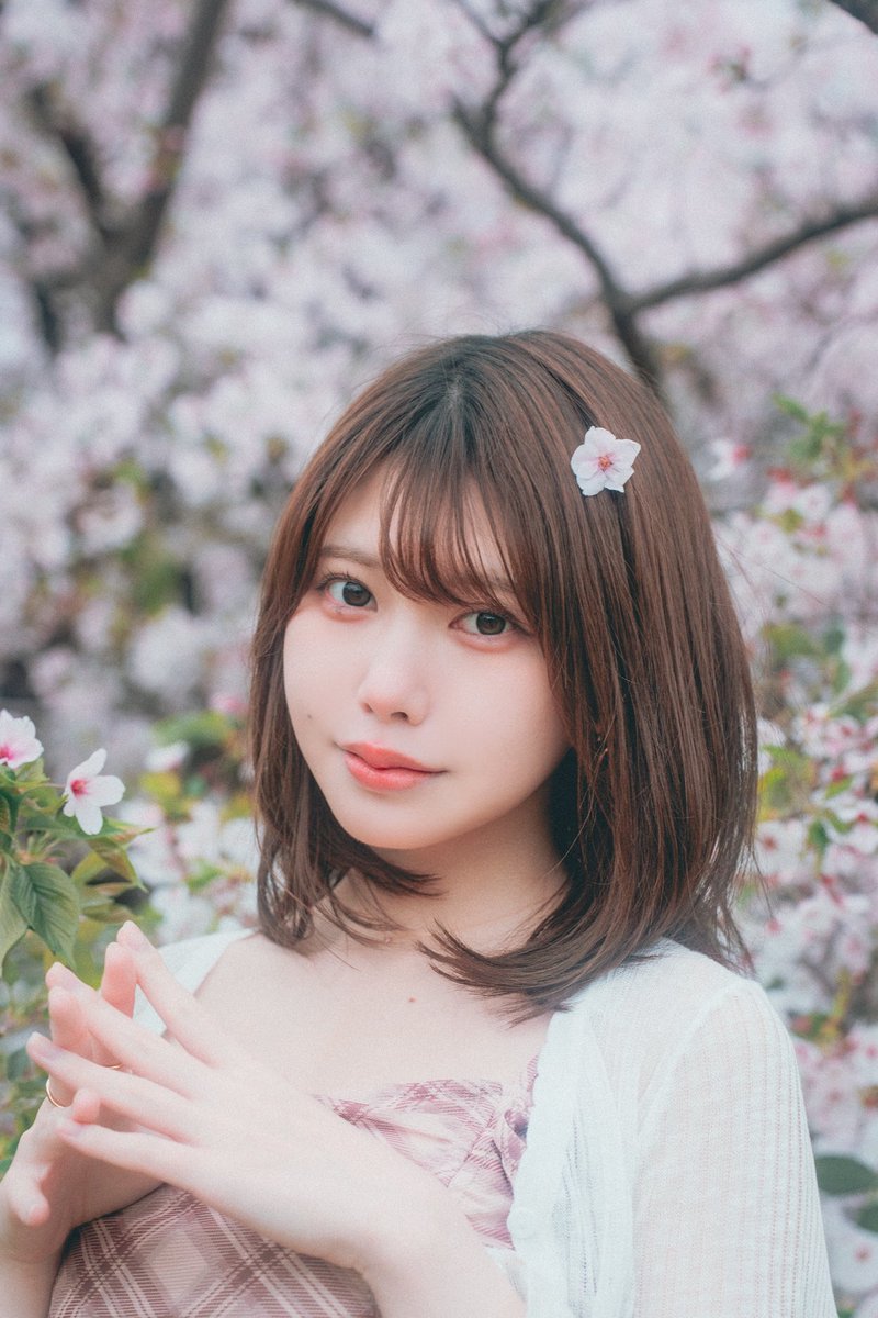 Moco__Orange's tweet photo. 🌸 https://t.co/ndt54rrj5I