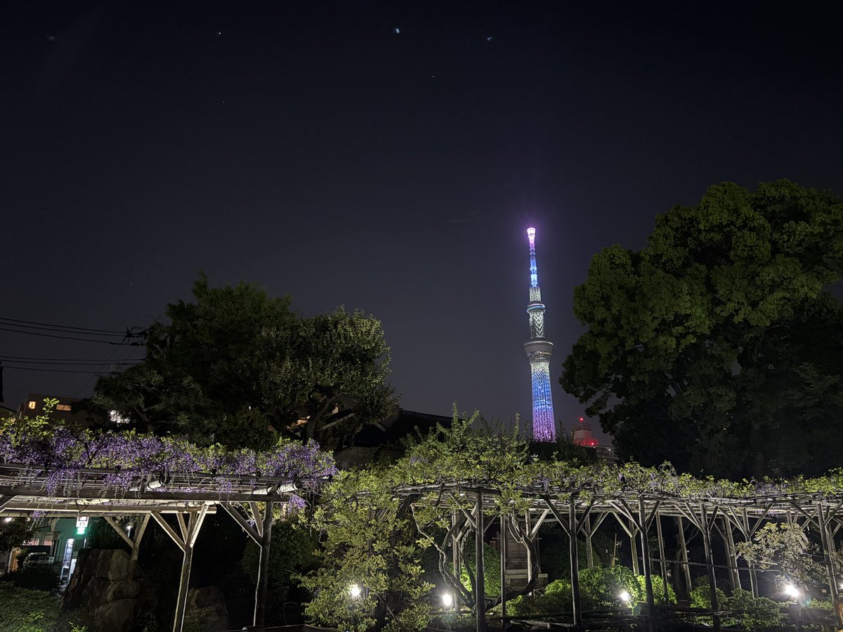 亀戸天神の藤のライトアップが
本日から始まりました🍇✨

スカイツリーもちょうど藤色っぽくて綺麗〜！
今日もお疲れさまでした☺️