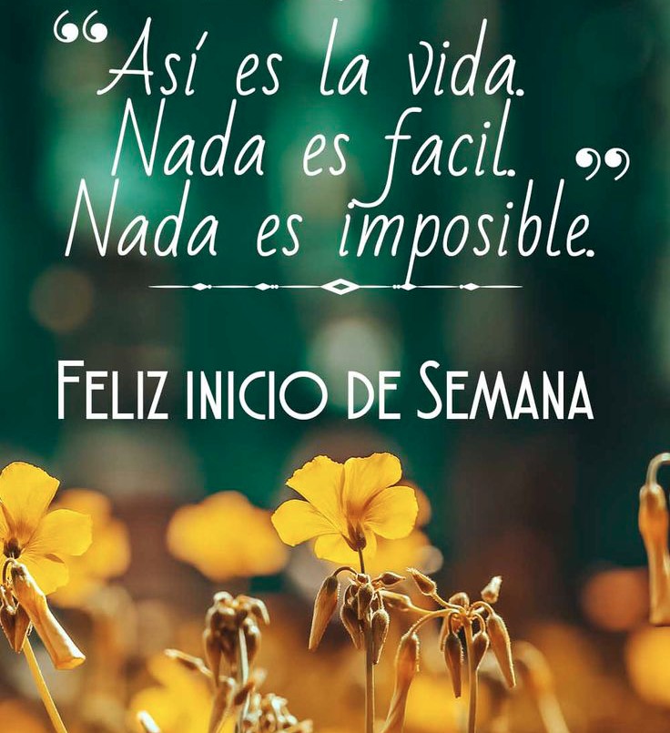 VictorG69723758's tweet photo. Todo empieza donde algo acabó.
Las mejores sonrisas llegan después de la última lágrima. 
Los sueños se cumplen después de noches de insomnio.
Un mal momento, un mal día, siempre será el inicio de algo que te hará feliz.
No le des demasiadas vueltas, levántate.
Y sigue adelante.. https://t.co/jpbd86P7Ws