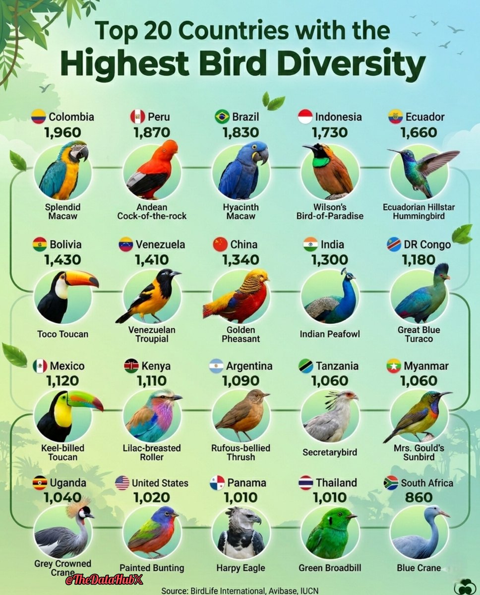 The Data of Everything tweet media