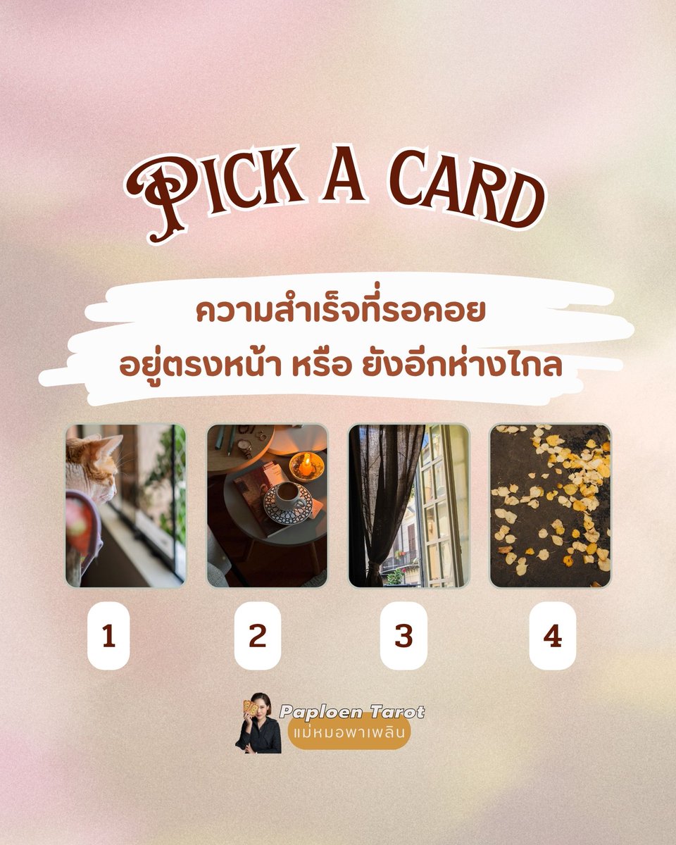 Paploen Tarot tweet media