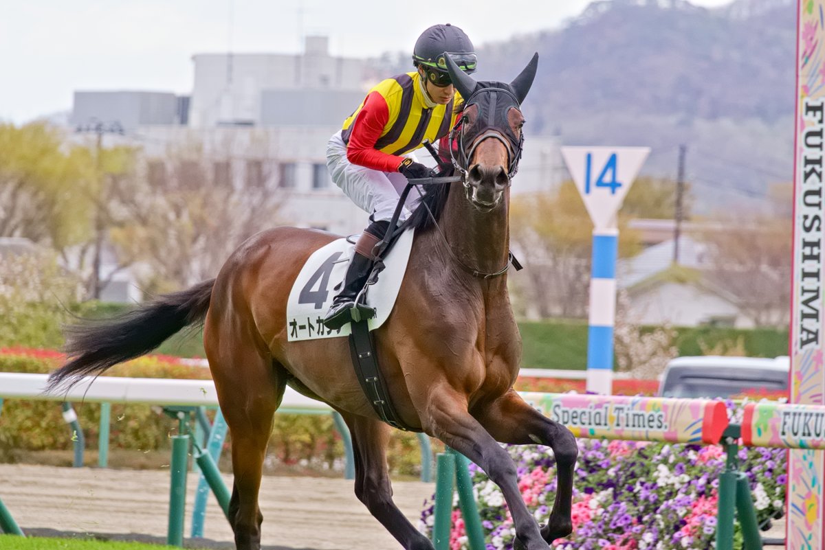 モス！ tweet media