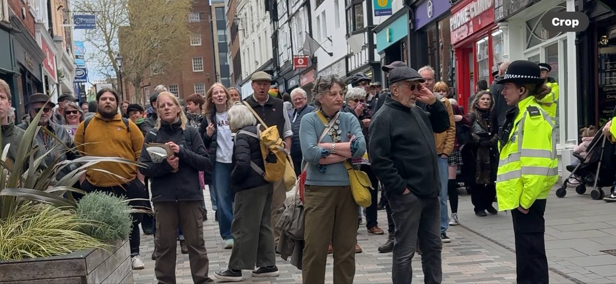 Donna Rachel 🕊️ tweet media