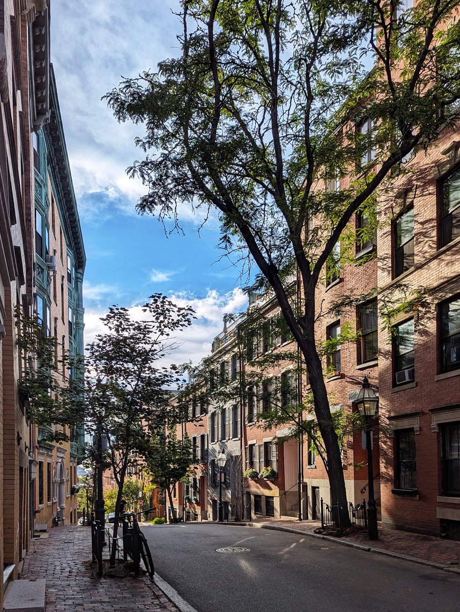 Samuel Hughes tweet media