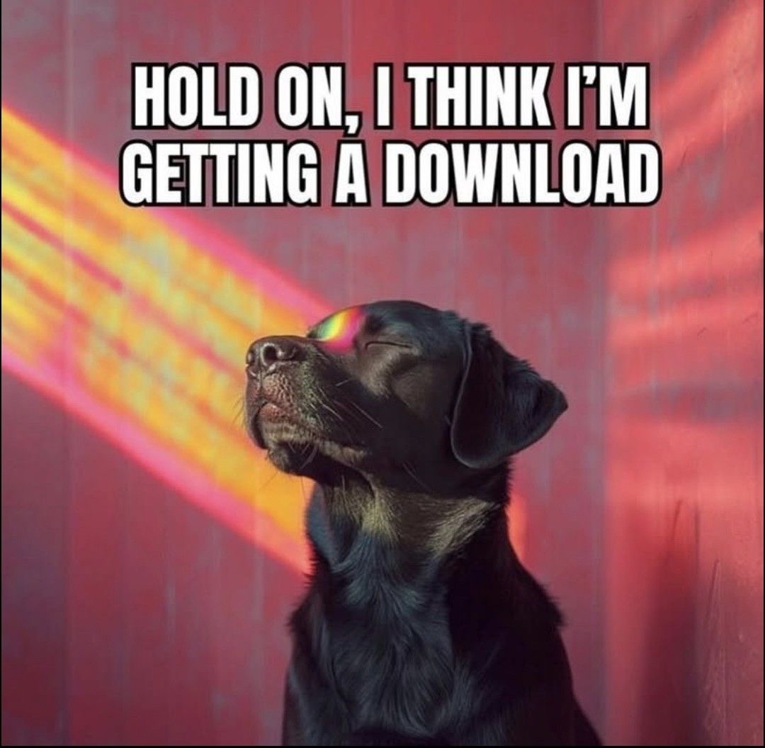 Cosmic Insights 🌻 tweet media