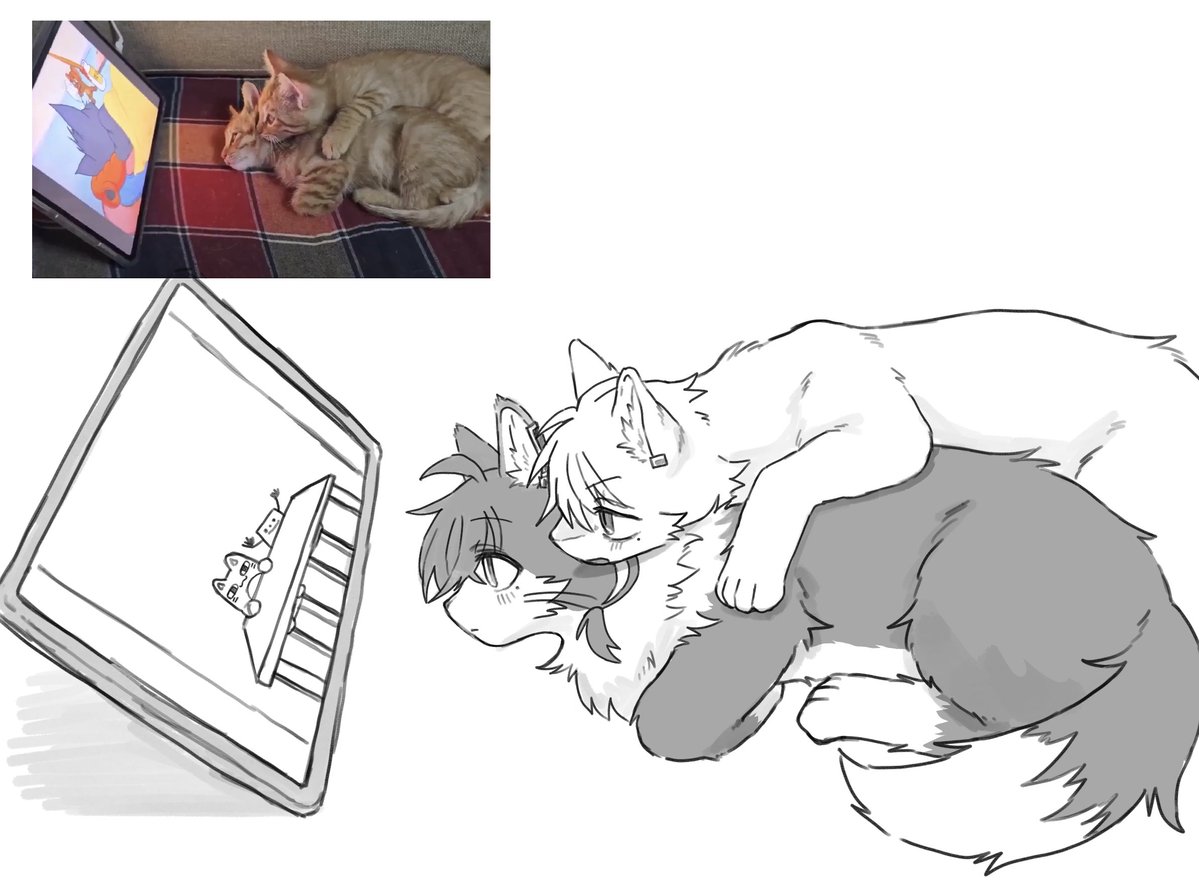 Gloria0🐾にじそ西2 ひ-11 tweet media