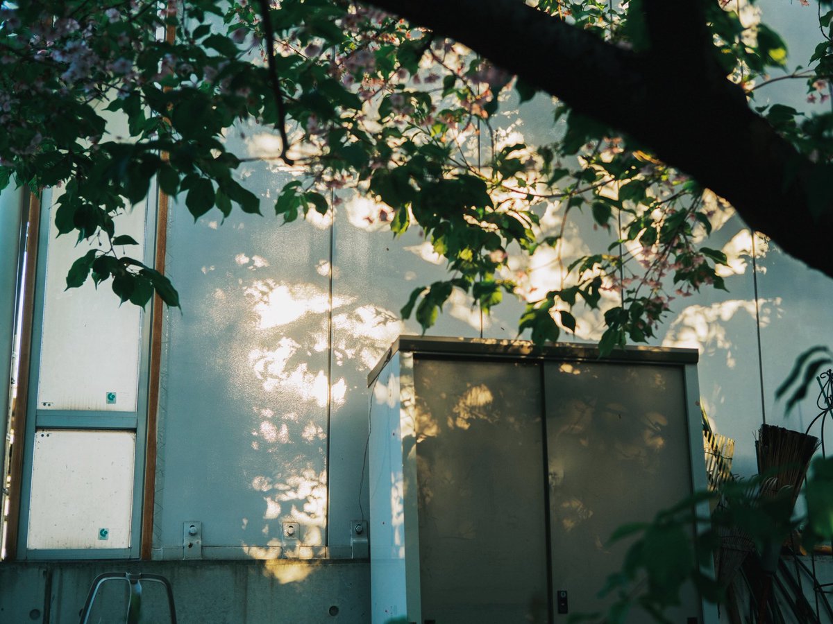 Kimura Hinami tweet media