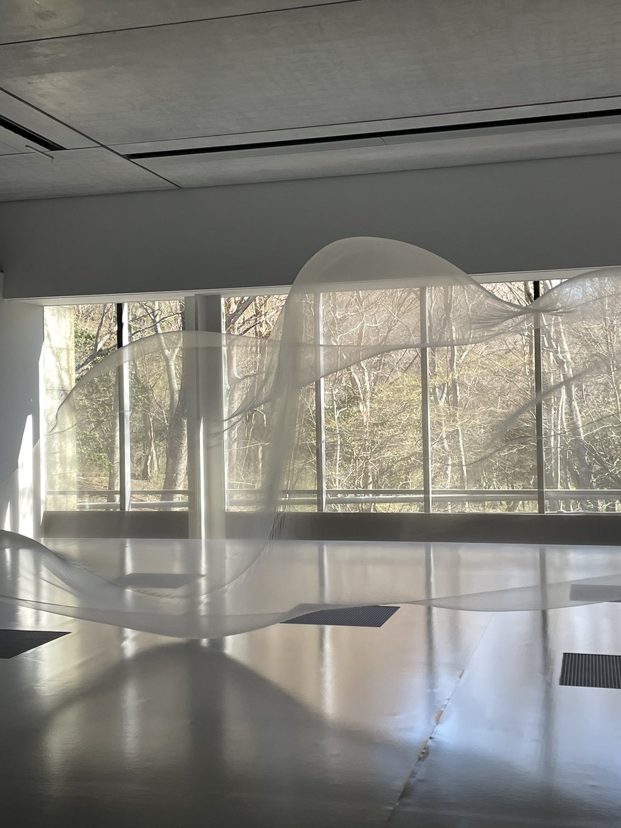 polamuseumofart's tweet image. 4月の箱根で見る、大巻伸嗣《Liminal Air Space-Time》。まるで春の霞のように展示室をたゆたう布の向こう側では、樹々の新芽が日々色濃くなっています🌱 #SPRINGわきあがる鼓動 #ポーラ美術館