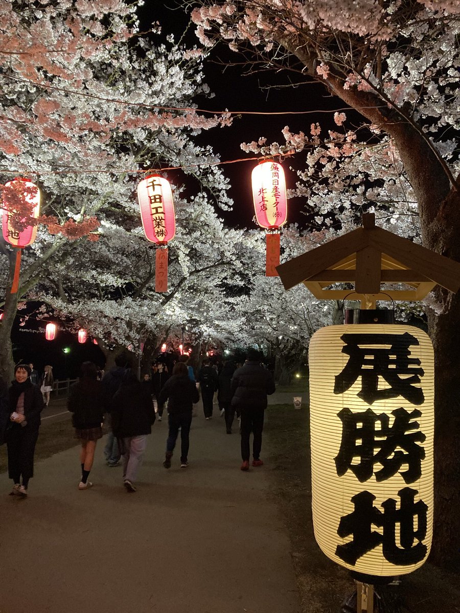 モコ@岩手（モコの夜はこれから) tweet media