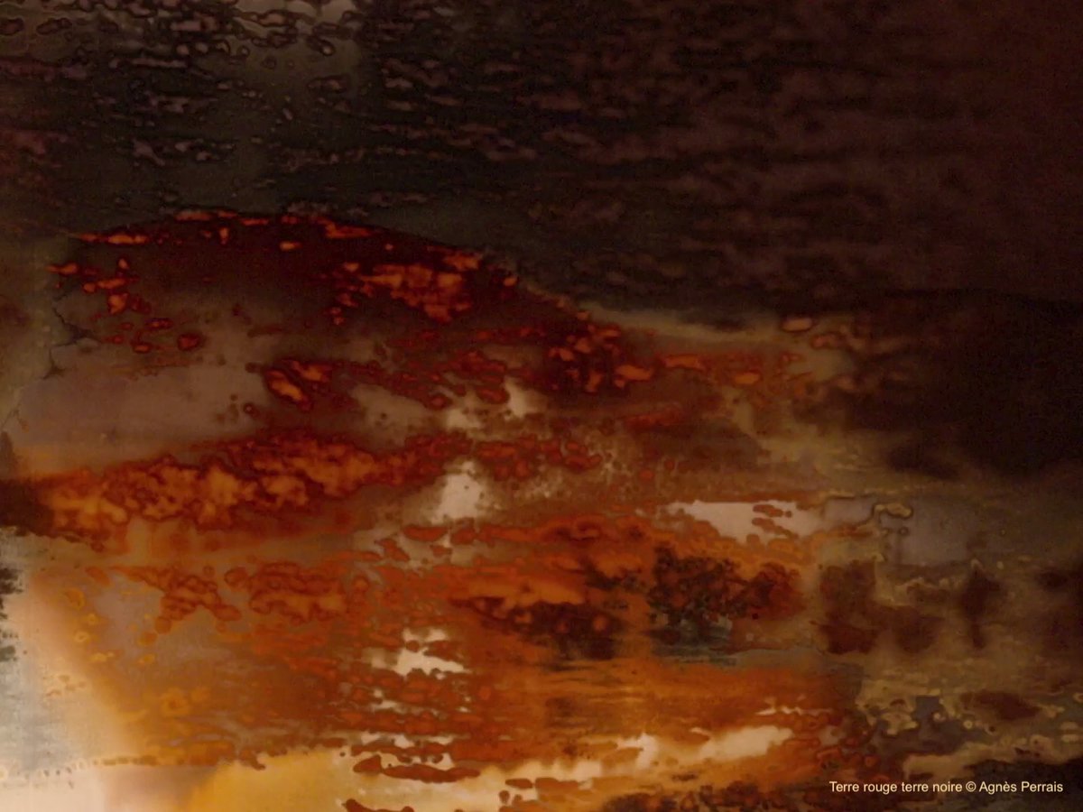 Experimental Cinema tweet media