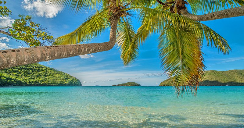 tropicalitytrvl's tweet image. Pic of the Night…Tropical Tranquility 🏝️ 
tropicality.com 
#beachday #beachlife #beach