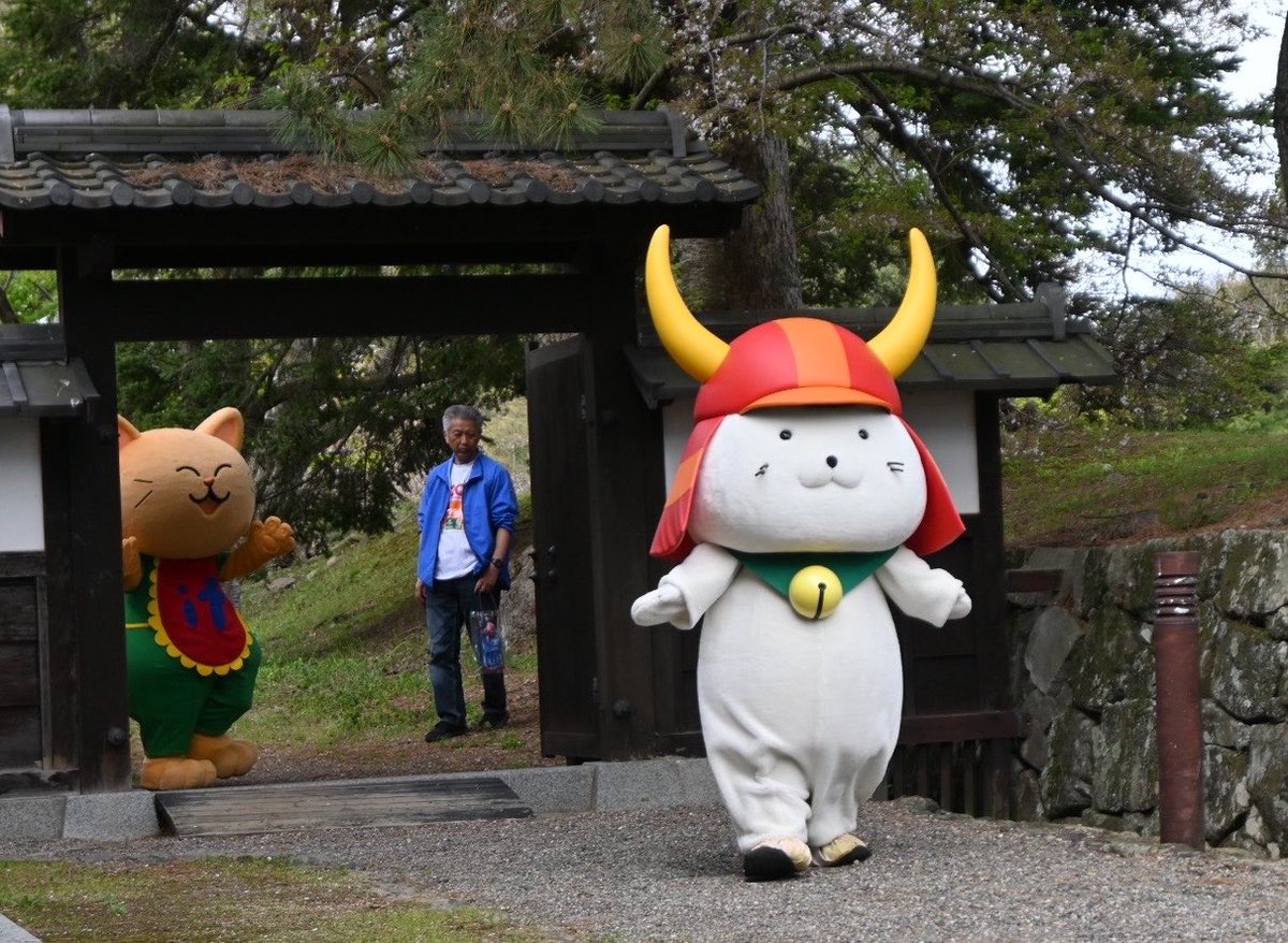 ひこにゃん 20周年おめでとうございます💖 みんなでお祝いできました